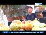 اخر النهار - التين الشوكي .. مهنة ابناء الصعيد في الصيف