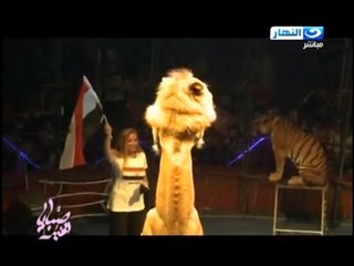 صبايا الخير |  ريهام سعيد من اخطر مكان بداخل  قفص الاسود  تهتف  تحيا مصر