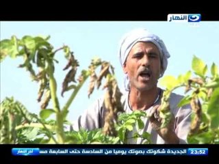 اخر النهار | فلاحو البحيرة يستغيثون بالسيسي بعد فساد محصول البطاطس و سرطنة البذور المستوردة !!