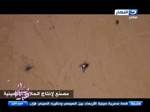 صبايا الخير | شاهد كيف يتم صناعة الحلاوة الطحينية المغشوشة التي تتسبب في مقتل المواطنين !