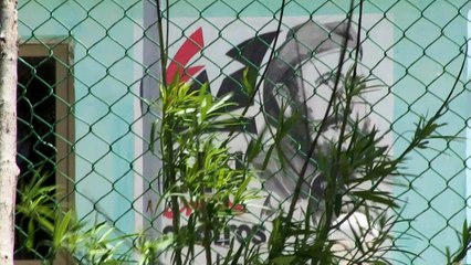 A revolução ainda não acabou