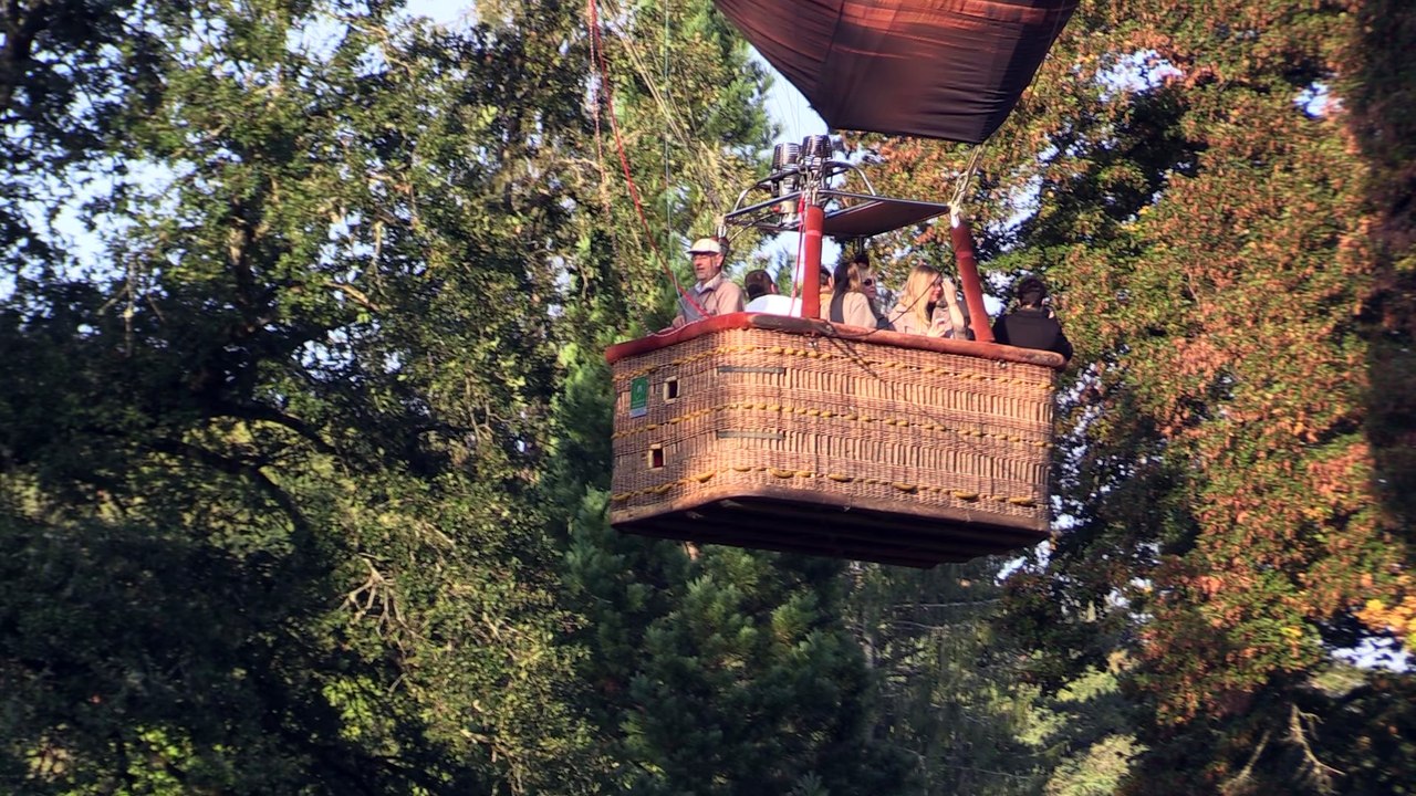 Balade Gourmande en Côte d'or avec air Escargot