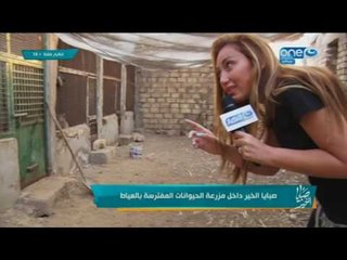 صبايا الخير - ريهام سعيد من داخل اخطر مزرعة للاسود والنمور المتوحشة المفترسة  بالعياط  +18