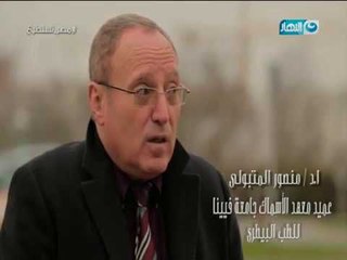 مصر_تستطيع | لقاء خاص مع أ.د|منصورالمتبولي عميد معهد الأسماك فى جامعة فيينا للطب البيطرى بالنمسا