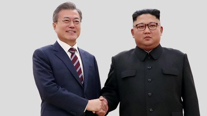 평양회담 정치권 입장차 뚜렷...與野 힘겨루기 불가피 / YTN