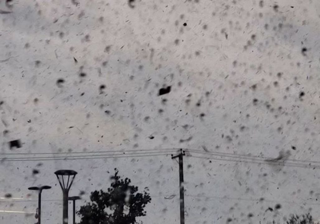 Debris Swirls Through Sky as Tornado Rips Through Ottawa and Gatineau