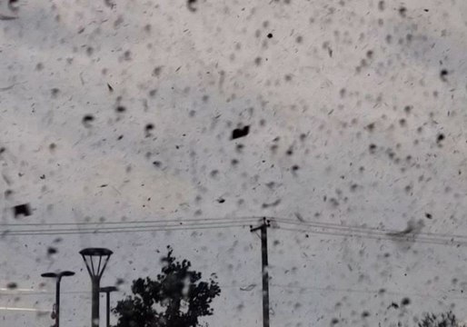 Debris Swirls Through Sky as Tornado Rips Through Ottawa and Gatineau