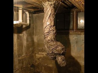 الحلقة الكاملة للكشف عن منزل ملعون بلعنة الفراعنة جامع للجثث والأرواح ويثير رعب الأهالي