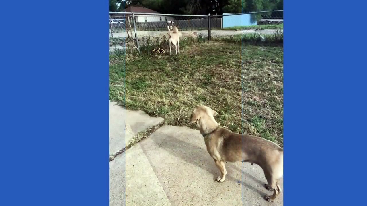 What have been up to?