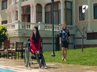 Alas Rotas_- capitulos 141