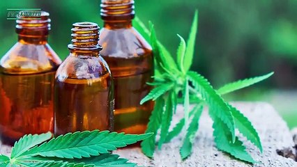 This Week in Weed: Coca Cola Considers Cannabis!