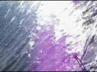 liquid force HAVOC 10