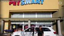 47 Animal Deaths Linked To PetSmart Grooming Appointments