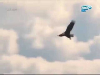 وبكرة_أحلى | حَكَمتَ فَعَدَلتَ فأمِنتَ فَنِمتَ يا عمر " دعاء  للشاعر اشرف ظريف"