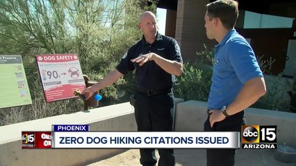 Zero citations issued since Phoenix rule banned dogs from hiking in extreme heat