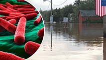 Efek penyakit badai Florence - TomoNews