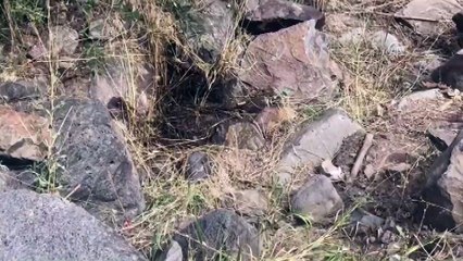 Sedanur'un cesedinin bulunduğu yer - KARS