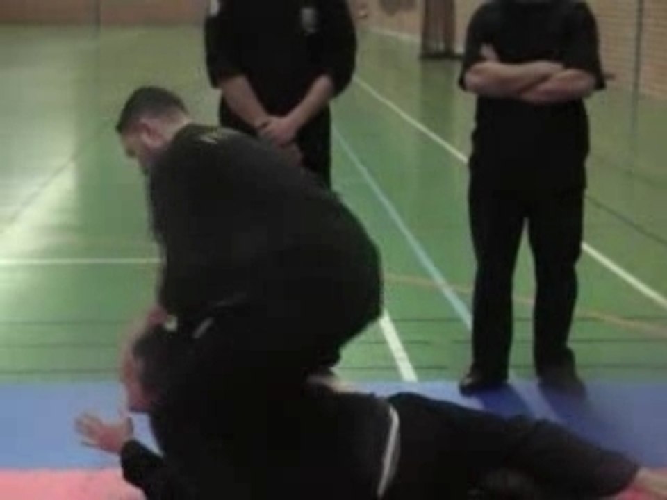 Pencak Silat Lille