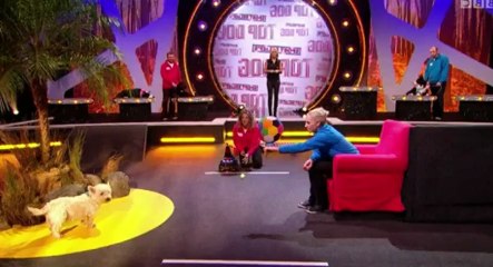 Sport Reliefs Top Dog S01 - Ep15 Grand Final HD Watch
