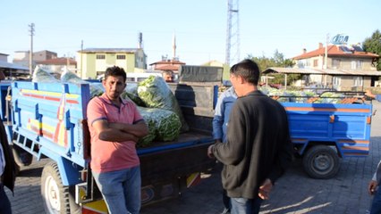 Fasulye üreticisinin bu kez yüzü güldü