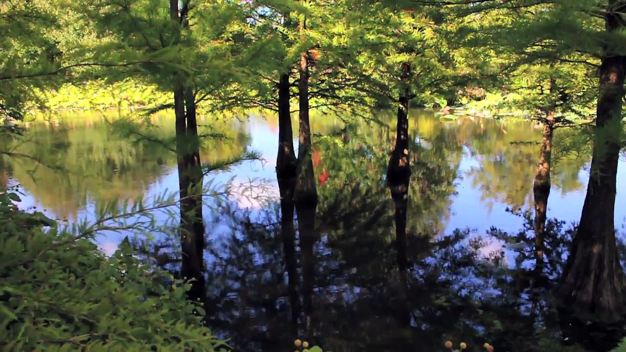 Arboretum Ellerhoop 2014 Folge 01 /Full Film/Ganzer Film/Complete Movie