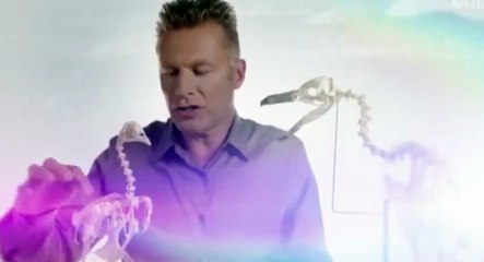 The Wonders of the Animals S01 - Ep01 Penguins HD Watch