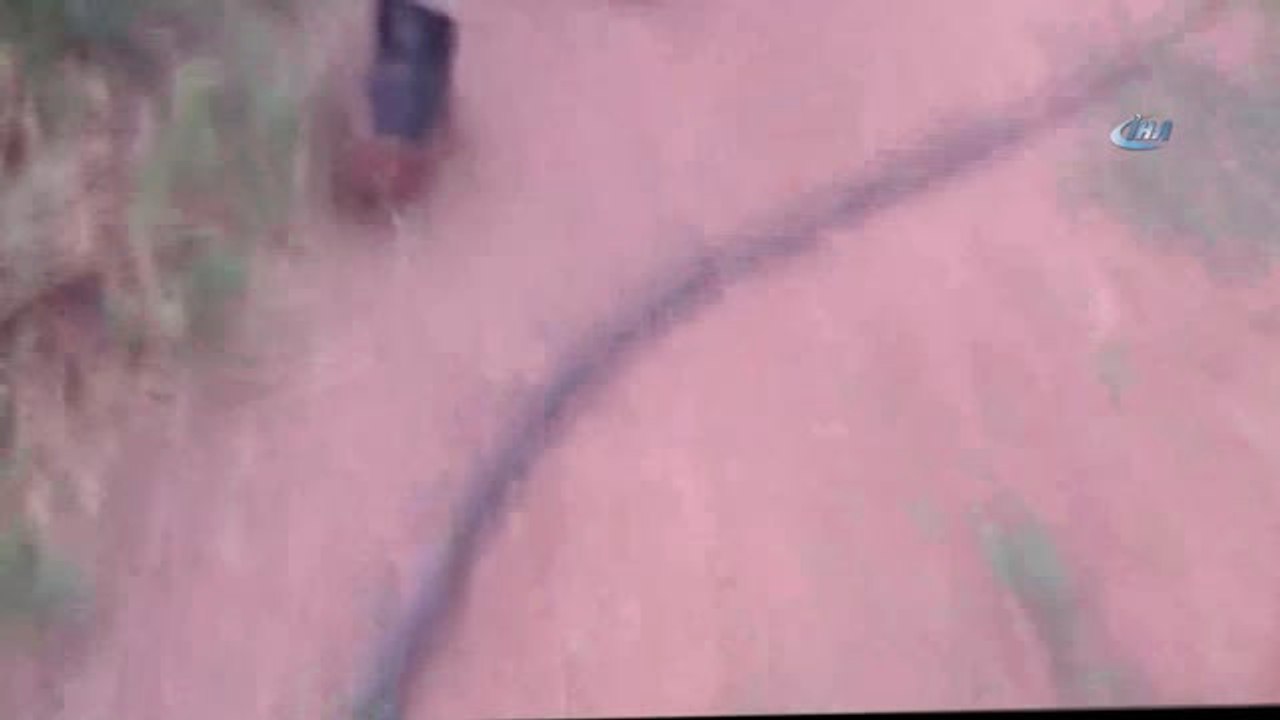 Ormanı Anımsatan Hint Keneviri Tarlası Jandarma Ekiplerini de Şaşırttı