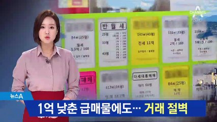 1억 낮춘 급매물에도…“서울 부동산 거래 절벽”