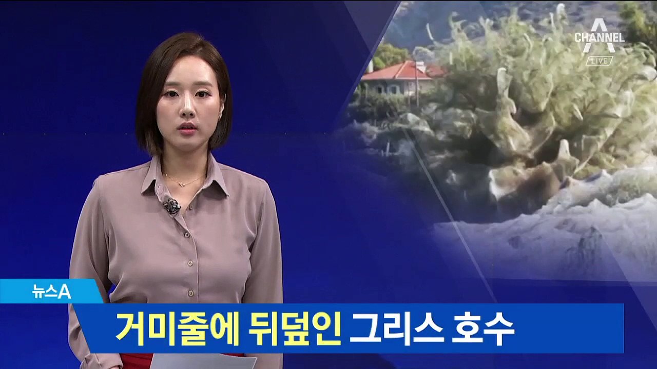 거미줄에 뒤덮인 그리스 호수