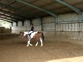 dressage de kachina et moi