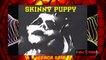 Skinny Puppy - Mirror Saw