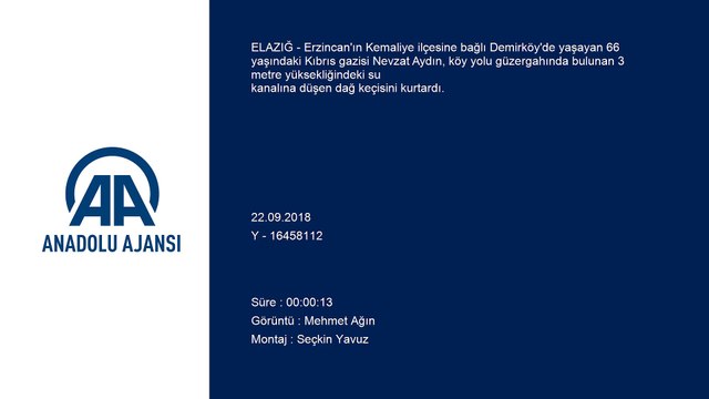 Kıbrıs gazisi su kanalına düşen dağ keçisi yavrusunu kurtardı - ELAZIĞ