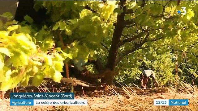 Agriculture : la colère des arboriculteurs monte