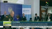 ONU: producción de cocaína en Colombia habría aumentado 31%