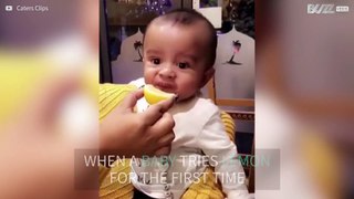 Ketika Bayi Mencoba Lemon Pertama Kalinya