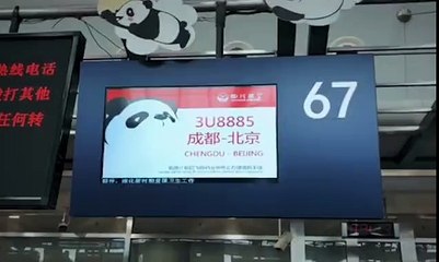 الخطوط الجوية الصينية تطلق "مسار PANDA" بطائرة مستوحاة من الباندا✈
