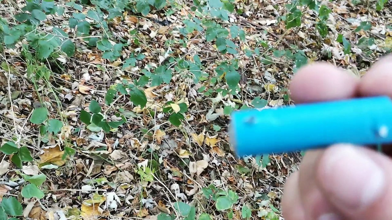 kleine tests im walde N1#