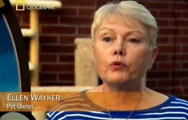 Szósty Zmysł Zwierząt, Film dokumentalny, Lektor PL