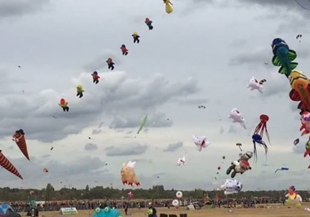 Dozens of Whimsical Kites Drift in the Skies Above Berlin During Drachenfest