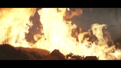 Godzilla vs. Megalon - Godzilla vs Gigan