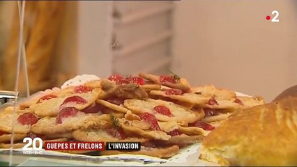 Pourquoi une telle invasion de guêpes et de frelons cette année ?