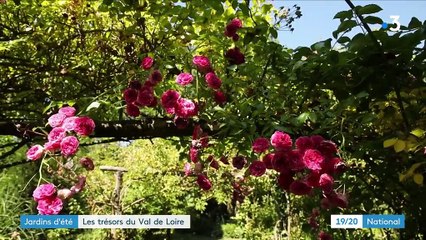 Jardins d'été : les trésors du Val de Loire