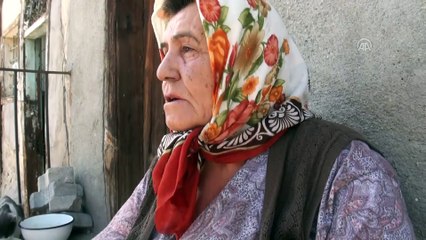 Beypazarı'nda kediye işkence iddiası - ANKARA