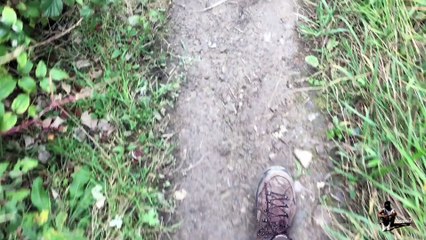 Étape 47 : Getaria – Markina-Xemein / Saint-Jacques-de-Compostelle – Camino del Norte 22/09/2017.