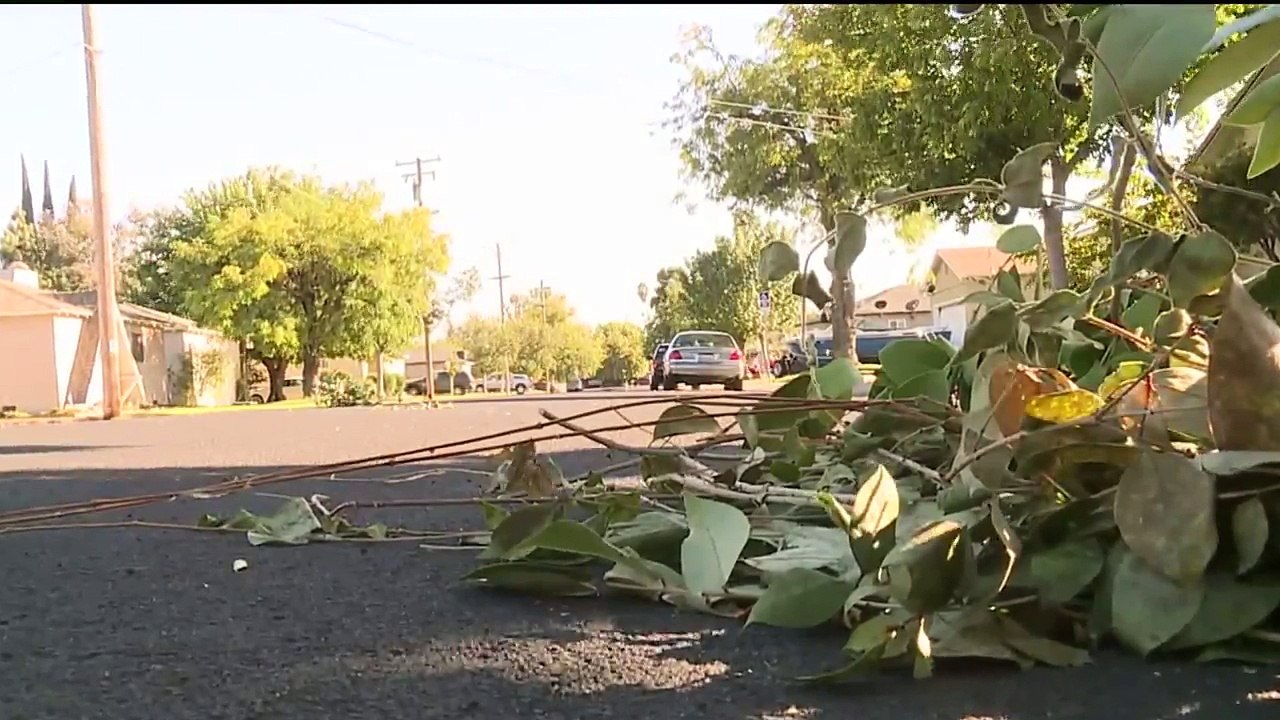 Security App Catches Thief Stealing Package Minutes After it`s Delivered