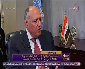 وزير الخارجية:القضية الفلسطينية محل نقاش مع الولايات المتحدة