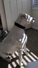 Jack Waiting For His Girlfriend Every Morning!!