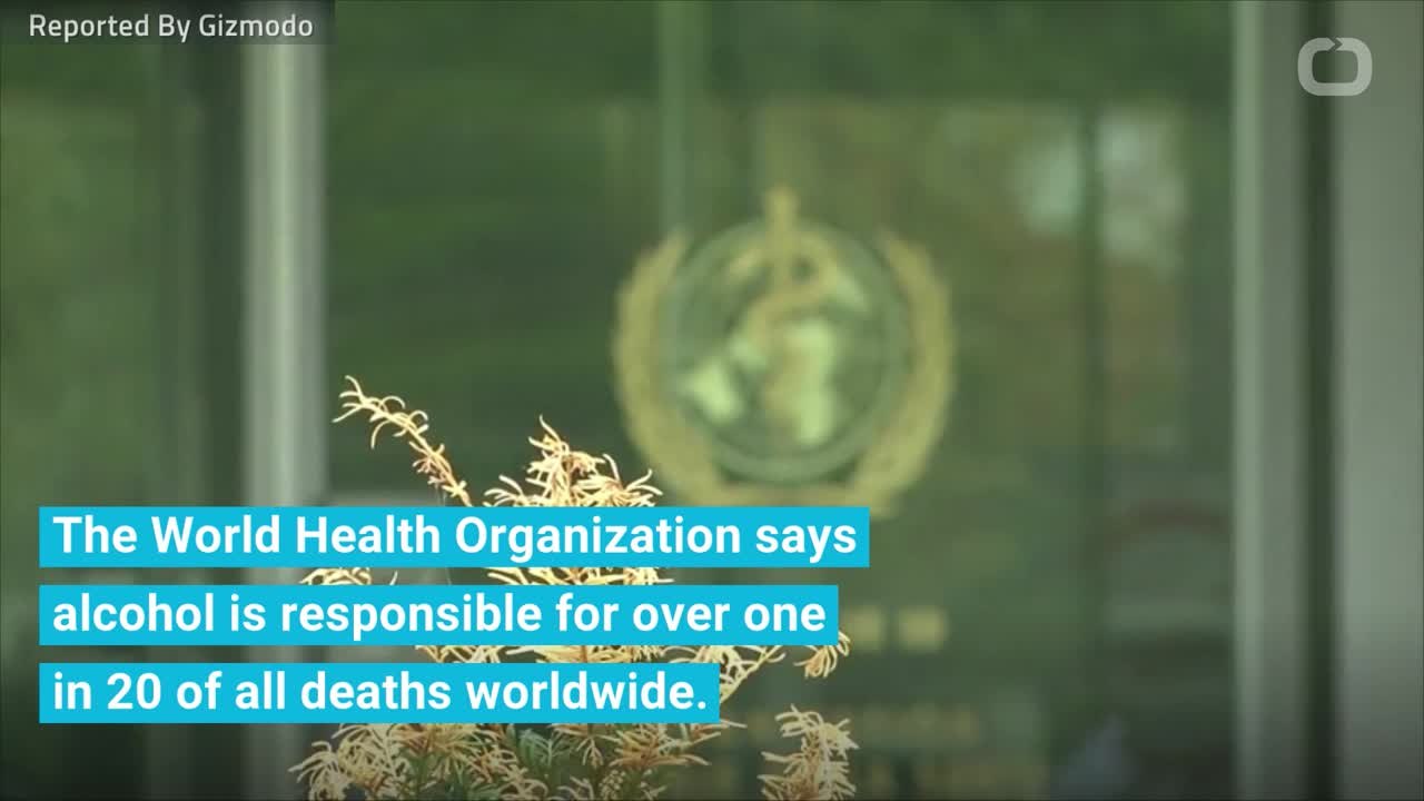 WHO Reveals The One Thing That's Killing Five Percent Of All Human Beings On Earth