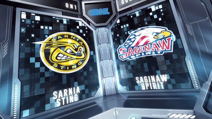 OHL Sault Ste. Marie Greyhounds 2 at Saginaw Spirit 5