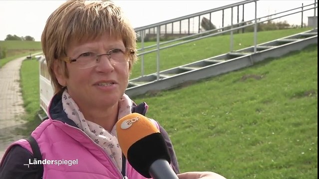 Hammer der Woche – Vogelwarte mit Schwarzbau